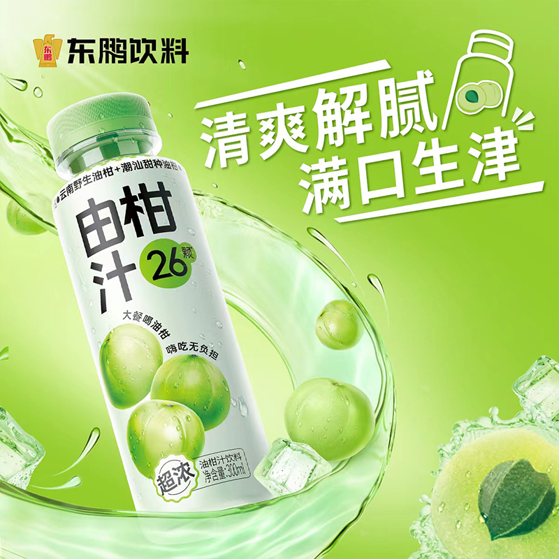 东鹏饮料由柑汁300ml*6瓶 维C超浓余甘子玉油柑果汁饮品清爽解腻