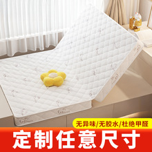 榻榻米床垫任意尺寸垫子可折叠椰棕乳胶儿童家用软垫