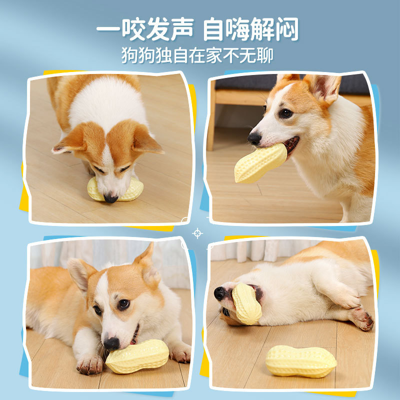 Transfronteriza Venta caliente molares juguetes para mascotas morder juguetes para perros educativos TPR mordedura-resistente sonido maní Juguetes