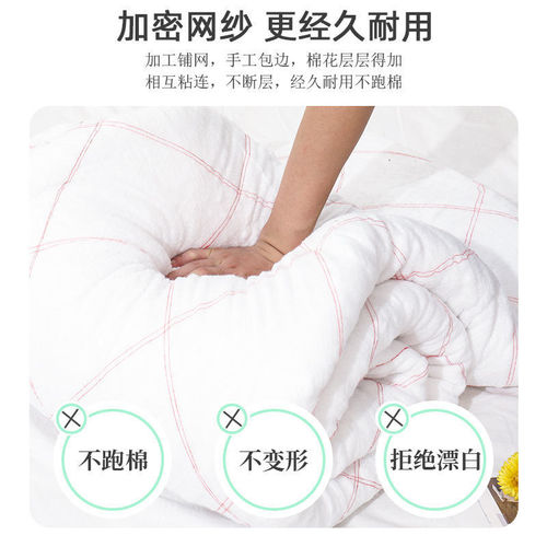 Xinjiang quilt supermarket wholesale thickened mattress student dormitory spring and autumn cotton quilt core summer cool quilt pad