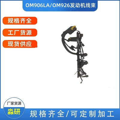 Mercedes-Benz Om906 Engine Wiring Harness A9061503133 Suitable for Heavy Trucks/Pump Trucks/Crane Trucks, Direct from the Manufacturer (Engine assembly)