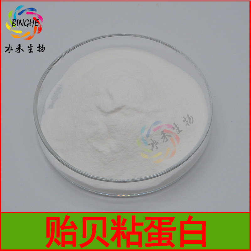 贻贝粘蛋白45% 贻贝提取物 食品/化妆品级蛋白粉 冰禾生物包邮