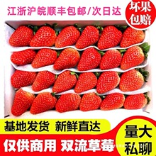 Ϻļrݮ̲ǺJbpݮ10S]