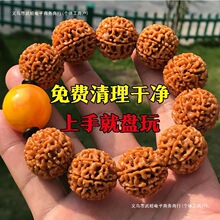 正宗(深度清理)姜黄皮印尼大金刚菩提手串男女菩提子佛珠2025新款
