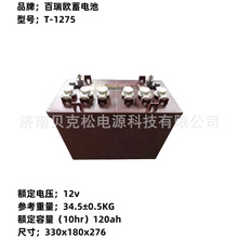百瑞欧蓄电池T-1275T-1285电动叉车12v120ah150a水电瓶可充电