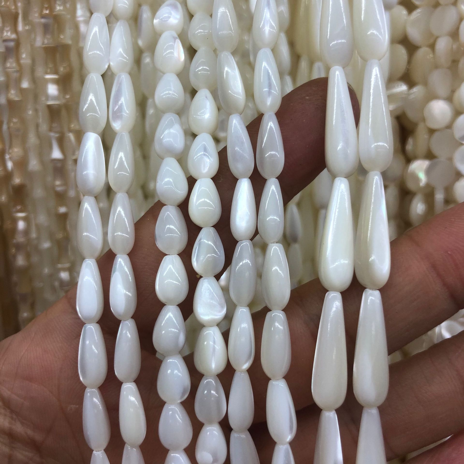 【马蹄螺】-水滴