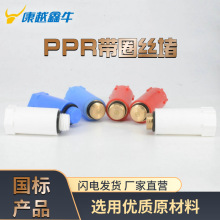 长丝堵管帽堵头PPR四通带圈丝堵兔耳朵丝堵头批发闷头PPR闷头