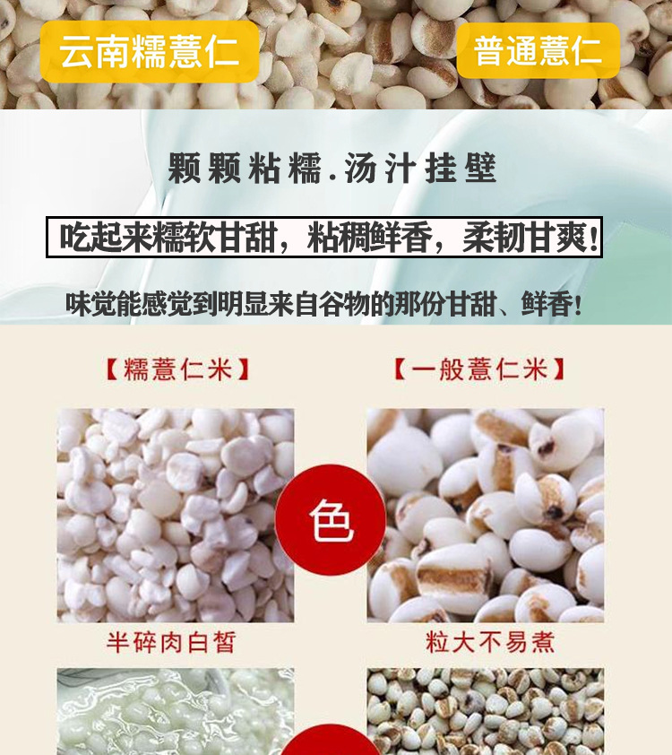 Yunnan Old Variety Coix Seed Broken Job's Tears Mojiang Glutinous Coix Grain 500g in use