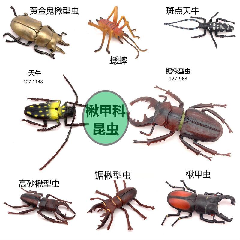 Cross-border children's insect model spade worm shovel beetle beetle long cow cricket dragonfly simulation solid toy decorative ornaments