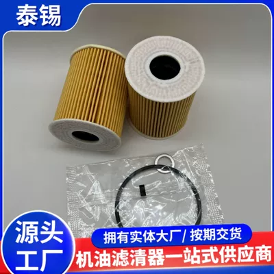 Oil Filter: Hyundai Oil filter