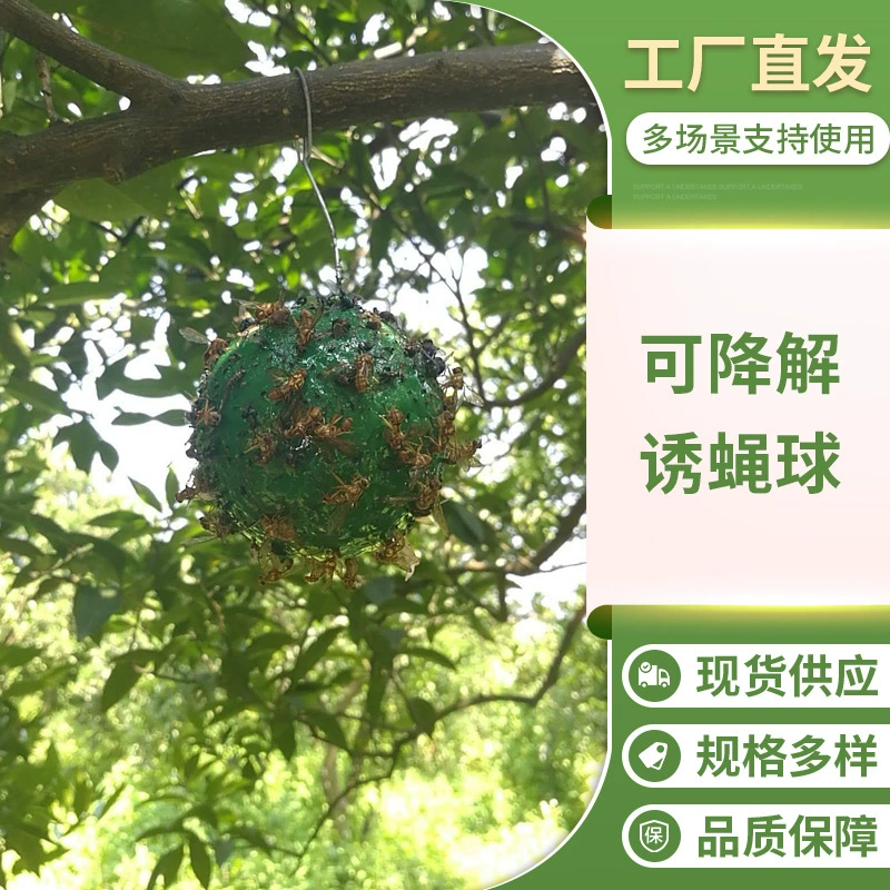 Профилактика цитрусовых крупноплодных плодовых плодовых шариков плодовых деревьев