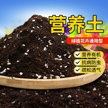 营养土升土种菜种花绿植通用型有机家用花卉养花肥料栽培土发酵