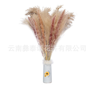 С�JȔ��β�ݸɻ���������M�ρ��R�d�羳�����M�����b����Ʒ