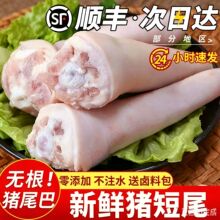 新鲜冷冻短猪尾巴整根农家散养土猪肉猪下水生猪肉生鲜食材去毛
