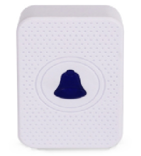 딩동 (최소 주문량 1,000개)