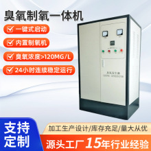 高浓度臭氧发生器100g氧气源臭氧机200g保鲜撬装结构氧气消毒器