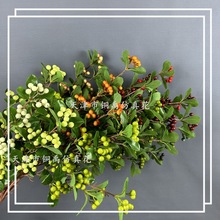 �����֦�lؔ��������t�{���Ҿӻ�c�b[�������������l