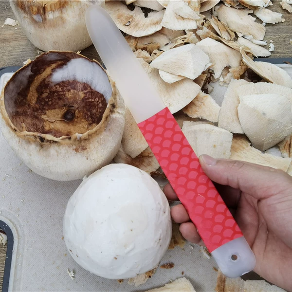 Coconut egg tool [Anti -slip red handle]