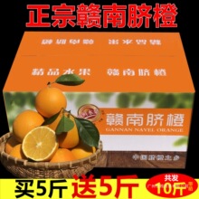 �����M��Ě��10/5�����������l�ЋD��ͯ�Fժ���rˮ���ք������