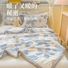 毛毯毛绒牛奶珊瑚法兰绒毯单件床单加绒防滑毛毯垫单加厚冬季被单