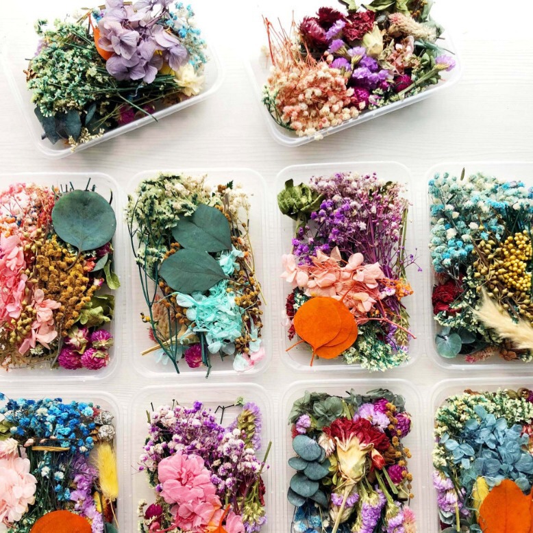 DIY Production Materials Immortal Flower Wax Brand Scented Candle Wax Brand Wax Flakes Embossed Dried Flowers Floating Oil Flower Zero Floral Head DIY Production Materials Immortal Flower Wax Brand Scented Candle Wax Brand Wax Flakes Embossed Dried Flowers Floating Oil Flower Zero Floral Head