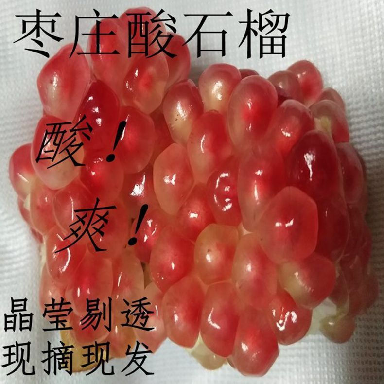 石榴軟籽水果新鮮無籽甜新鮮軟子無籽水果批發廠家批發亞馬遜跨境