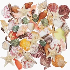 海螺/贝壳;沙石砾石;石膏工艺品