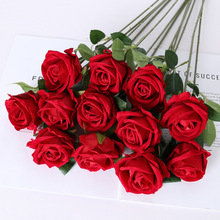 ֧õ滨 Ҿӻc˹Yõ廨 羳õ廨l