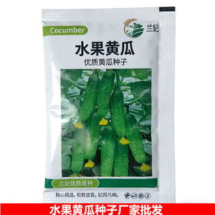 ���ߴ�9-12cm���m���S��ֱ�N�߲˷N��ˮ���S���ѷN���N�߲˷N��