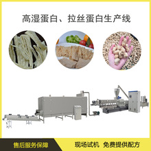 厂家专业生产 拉丝蛋白生产线 组织蛋白加工设备人造肉机械设备