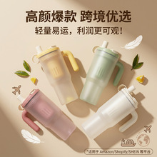 跨境随行杯850ml带手柄水杯双饮车载吸管杯防漏果汁杯带茶隔批发