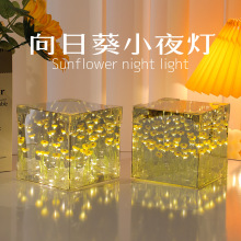 ���տ�ħ��Сҹ�� �ֹ�diy���ϰ�녶仨��Сҹ��������[���YƷ