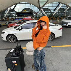 小众复古慵懒风麻花针织连帽毛衣女秋冬季宽松百搭多巴胺上衣外套