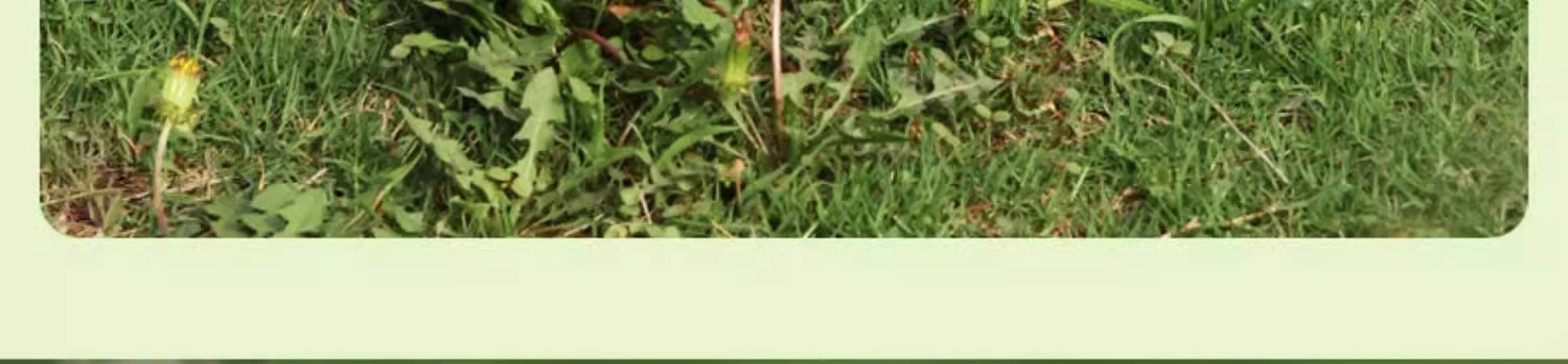 Outdoor portable 8L folding water bag for mountain climbing, tourism and camping, food-grade water storage bucket, large-capacity thickened water storage bag pic 11