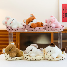 ����˯�@؈������С����ſſС��������ë�q��ߔ[�����նY�����l