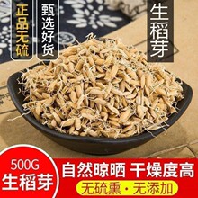 硫稻谷芽中草药生稻芽正品无硫磺稻芽新货无另有生麦芽生谷芽包邮