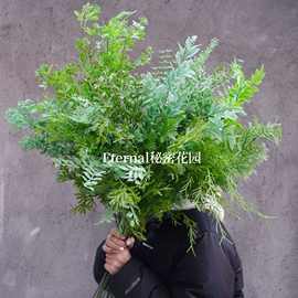 仿真绿植平价芦荀草婚庆版塑料叶子绿色森系 婚礼堂路引排花批发