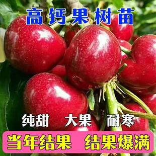 �}������Ʒ�}����W���}�����箔��Y������ˮ���ϱ��Nֲ���Ե���