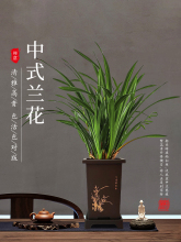 īmԎRqm҃ȿ͏dڽm߅mֱl