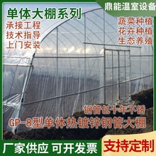 农用瓜果蔬菜种植大棚膜厂家承接工程生产安装农业8单体温室