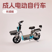 ������ó���ڰ�綯���г�48v﮵��ͨ����˴�����