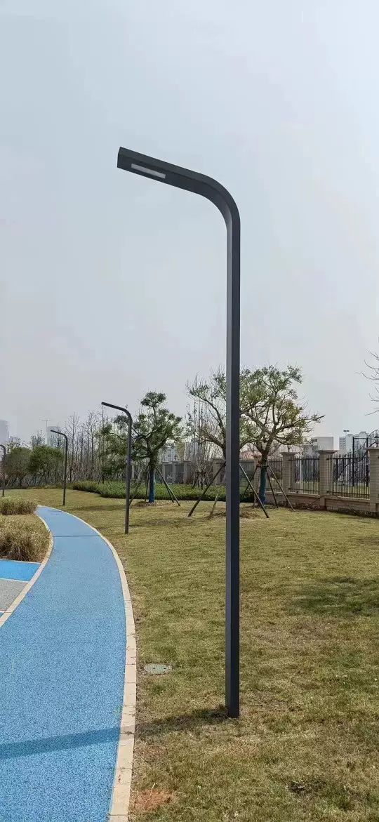 艾乐壹迪12米非标景观路灯双头高低臂道路照明灯具市政主干道路灯