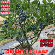 �ش��{ݮ������{ݮ�����Ե��Թ������̨ͥԺ�ϱ����Nֲ������l