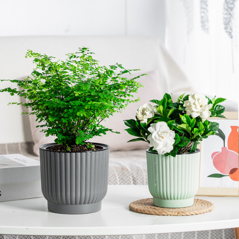 Meixuan perezoso maceta automática absorbente verde planta maceta hidropónica creativa suculentas resina de plástico maceta al por mayor