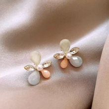 2024�¿��Ͱ�������Ů�p�ݸ߼��К��|������OӋС�����hŮ