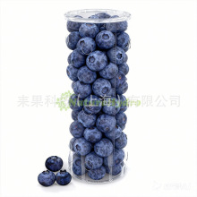 ͸�����w�{ݮ��PETʳƷ���Ϲ��{ݮ�AͰ���bBlueberryContainer