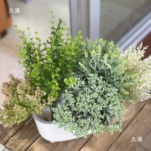 С�ݻ������ϾGֲܛ�b�廨��ļٻ��Ҿ��b[����c�b�����