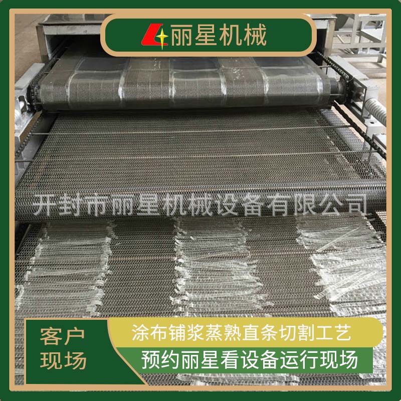 自动化粉皮加工设备，粉皮机开封丽星厂家供应日产1-3吨的型号