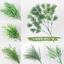 ɭϵ��c���滨�ľGɫ�����Y���������·������Y�õ���b廨