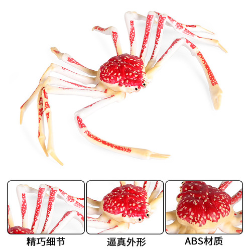 Simulated ocean spider crab animal model children's cognitive toy plastic ornaments static science and education crab figure